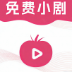 瓜田电影去广告纯净版下载